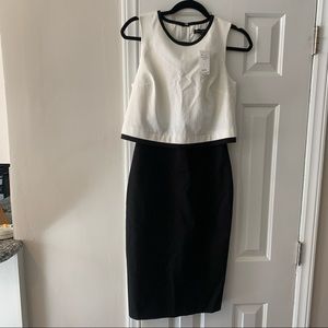 NWT Banana Republic Black White Flattering Cropped Dress size 2